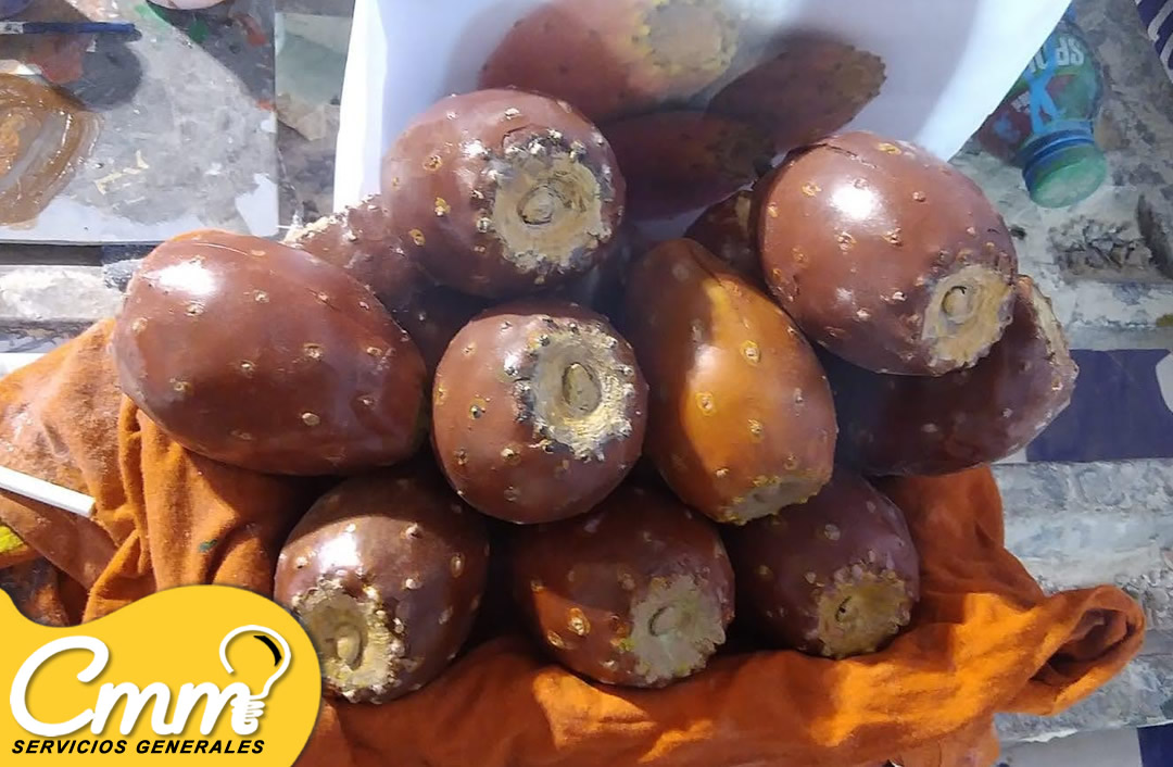 tematizacion en peru